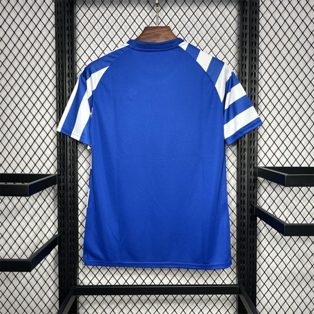 2024/25 FC Porto  Pre-match training Jersey Fan Version