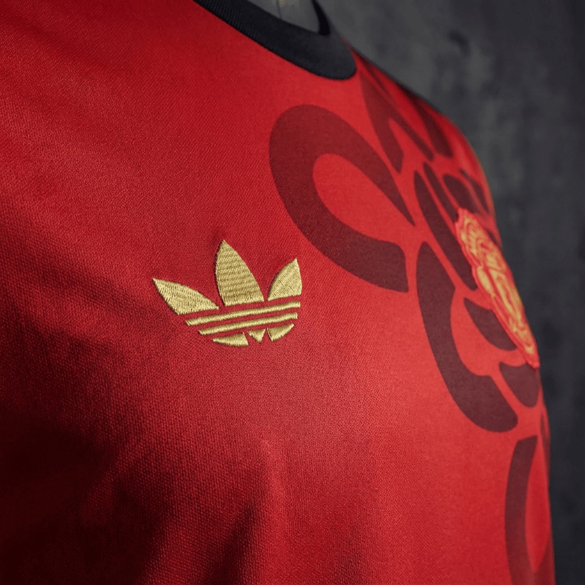 2025/26 Manchester United Special Edition Red jersey Fan version