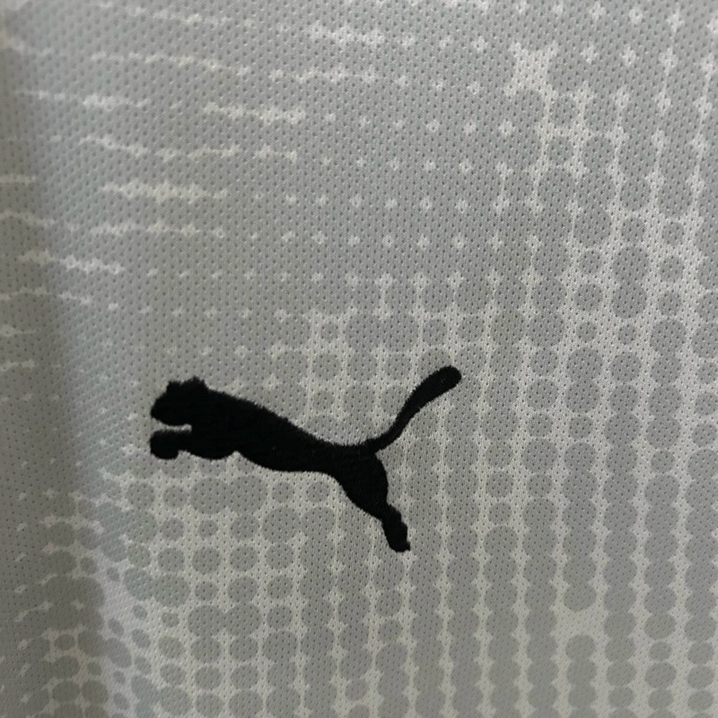 25/26 Portugal Goalkeeper Gray Jersey Fan Version