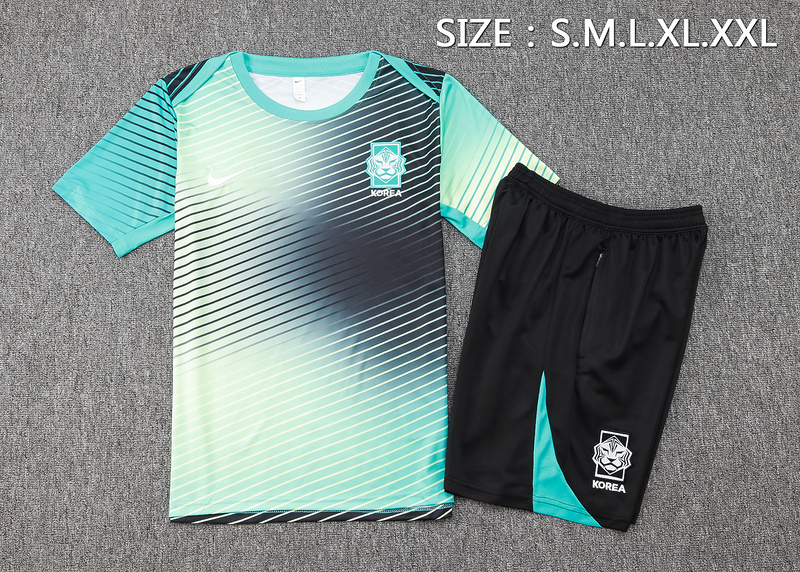 24/25 Korea Turquoise and White Training Set Shirt and Shorts
