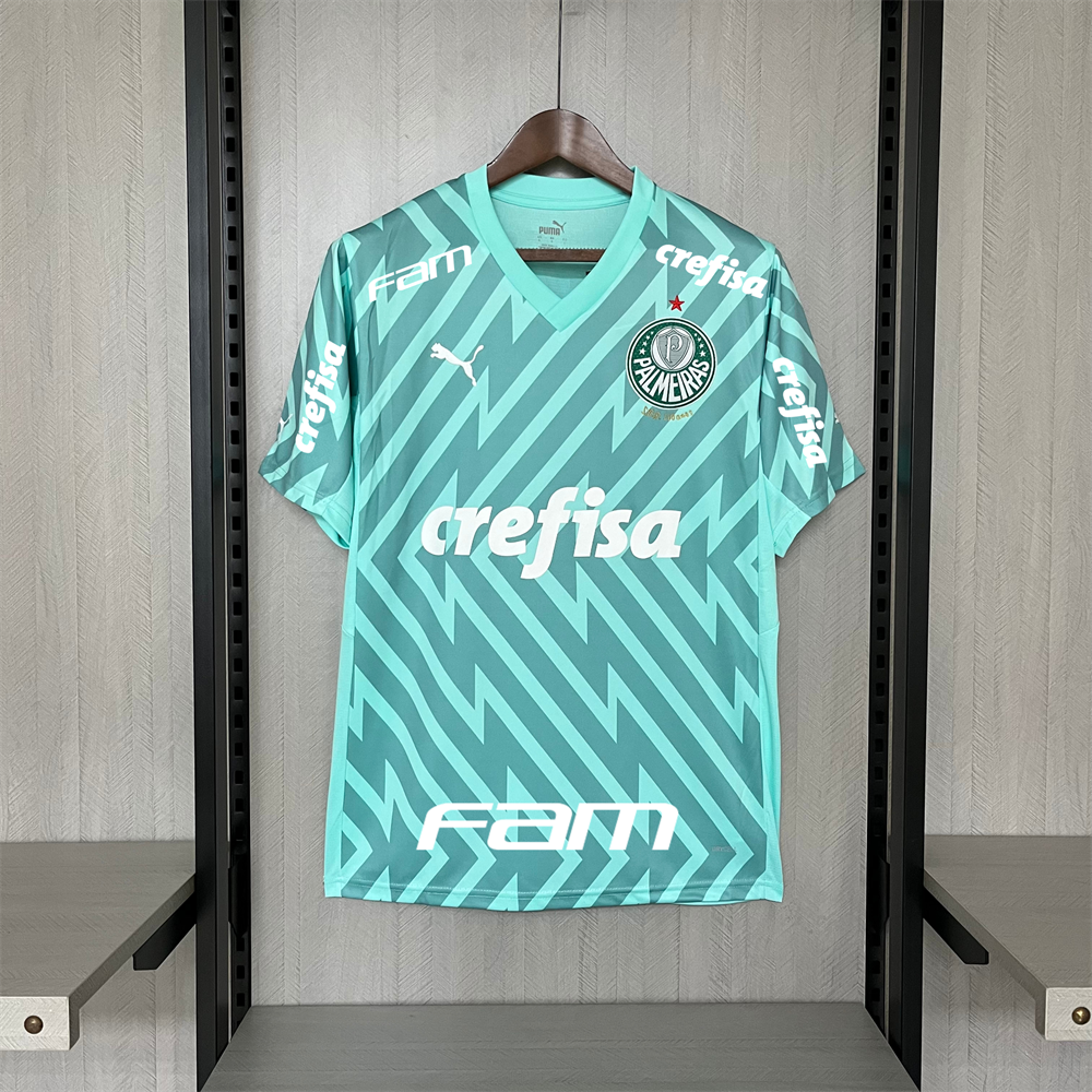 2024/25 Palmeiras Goalkeeper Green jersey Fan Version
