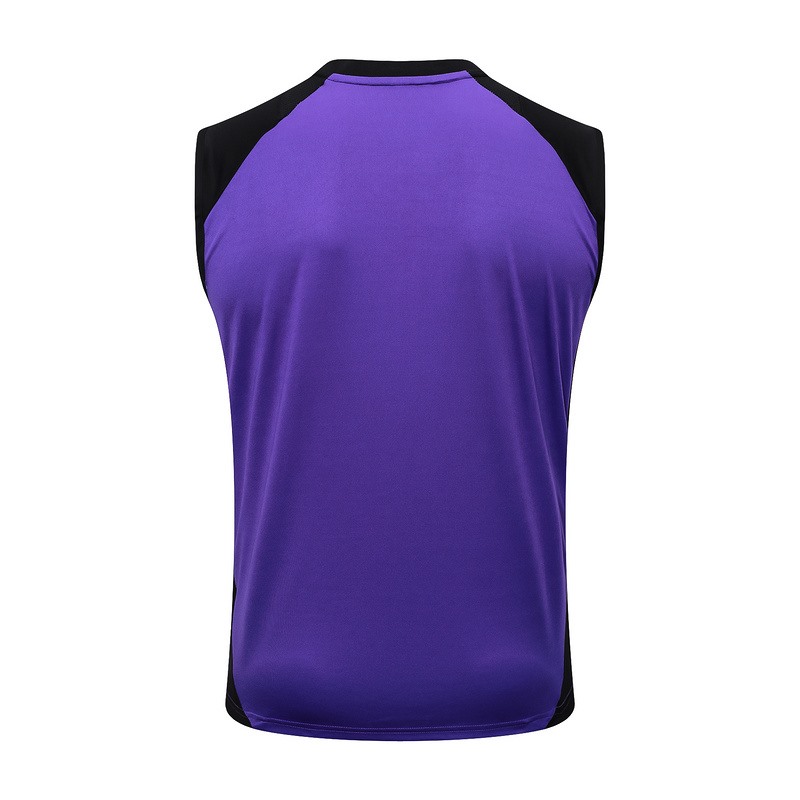 24/25 Germany Purple Training Set Shirt and Shorts
