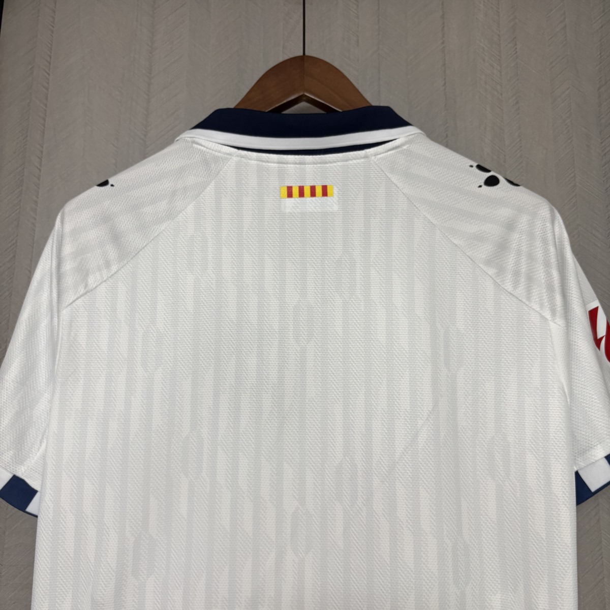 22025/26 RCD Espanyol Away jersey Fan Version