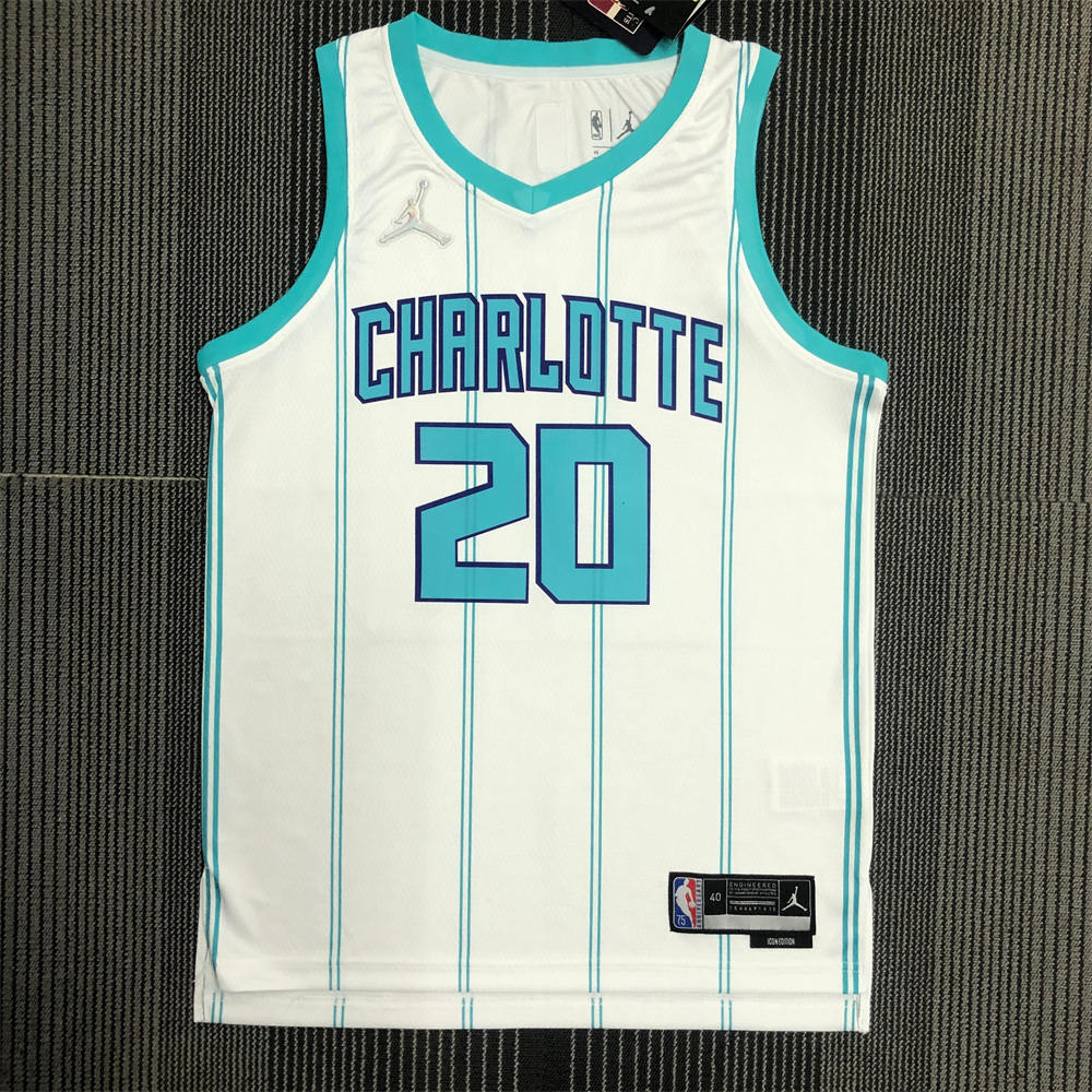 NBA Charlotte Hornets V-Neck White 75th Anniversary Jersey HAYWARD#20 S-XXL