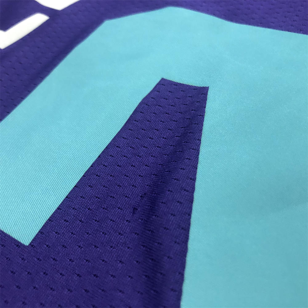 NBA Charlotte Hornets V-Neck Purple Jersey BALL#2 S-XXL