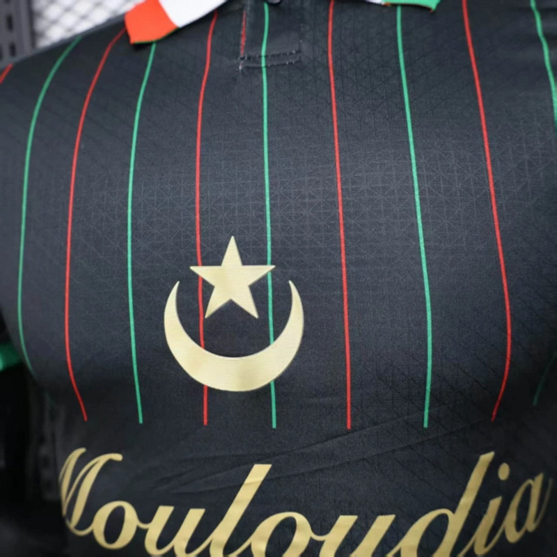 2025/26 Palestine Special Edition Black jersey Player Version