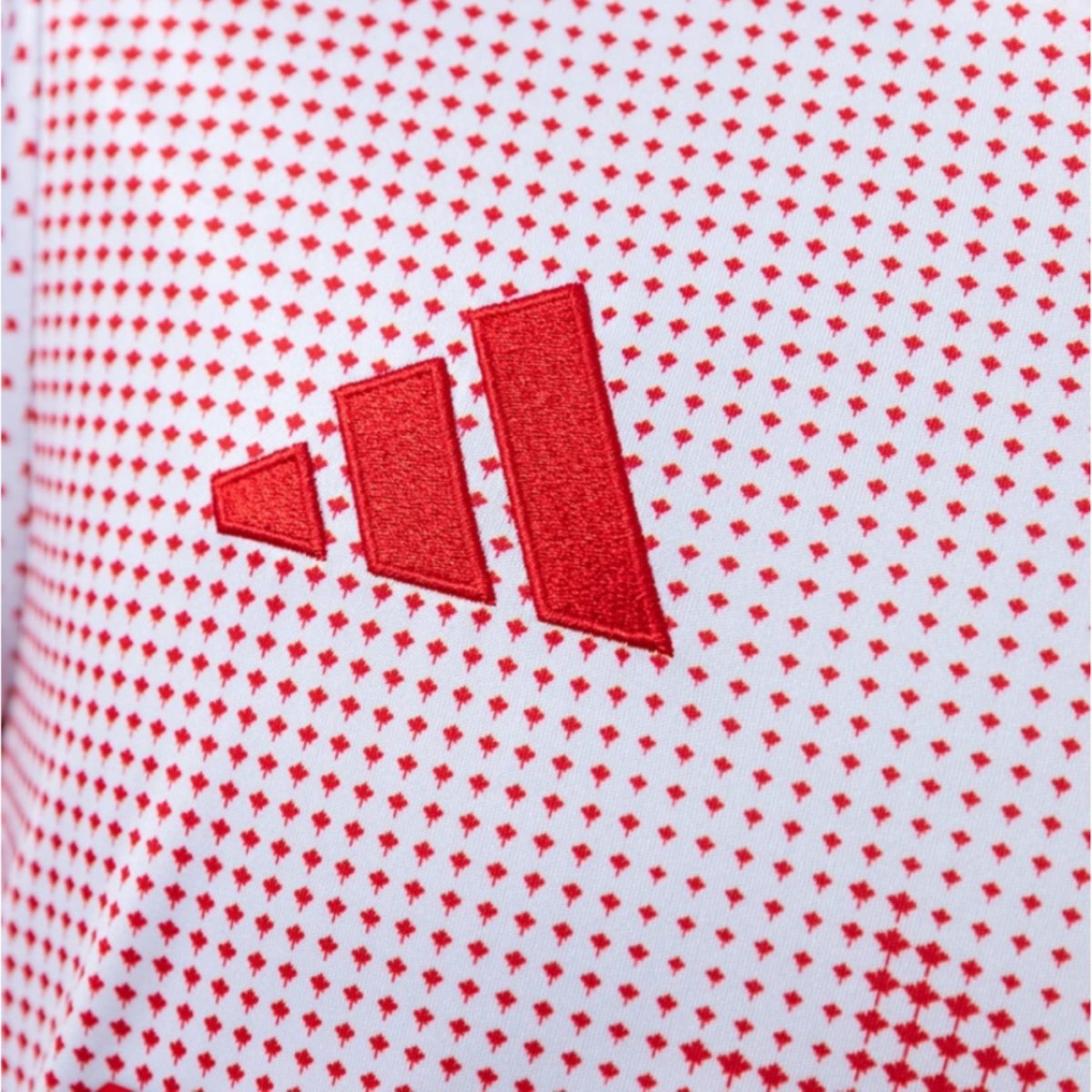 Canada 2026 World Cup Anniversary Edition jersey Fan version