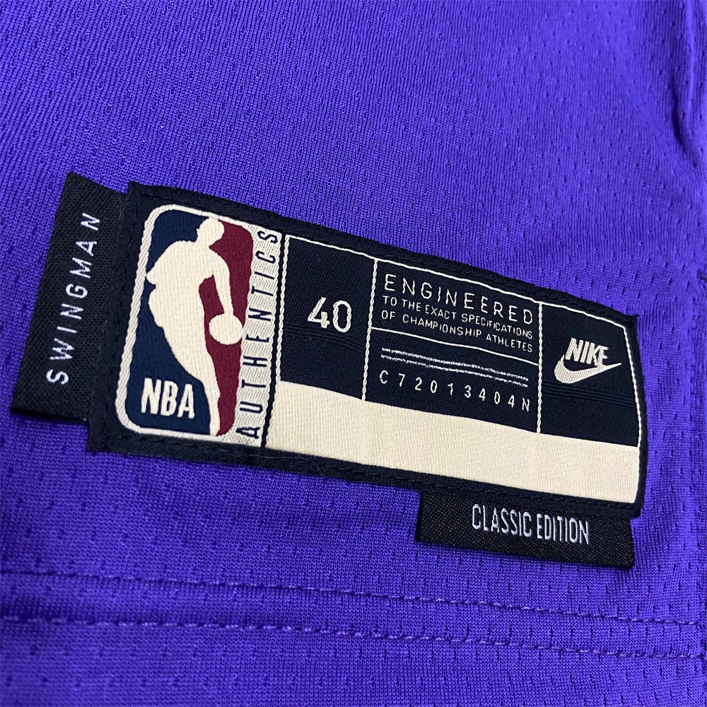 NBA Milwaukee Bucks V-Neck Purple jersey ANTETOKOUNMPO#34 S-XXL