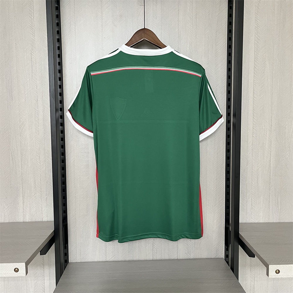 Retro 2014 Palmeiras Centennial Edition Green jersey Fan Version