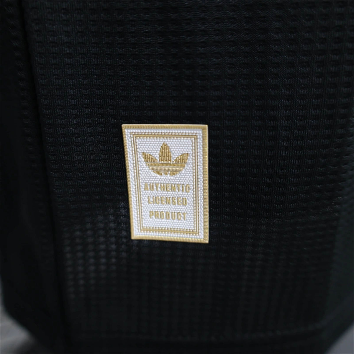 24/25 Bayern Munich Black Special edition Jersey Player Version