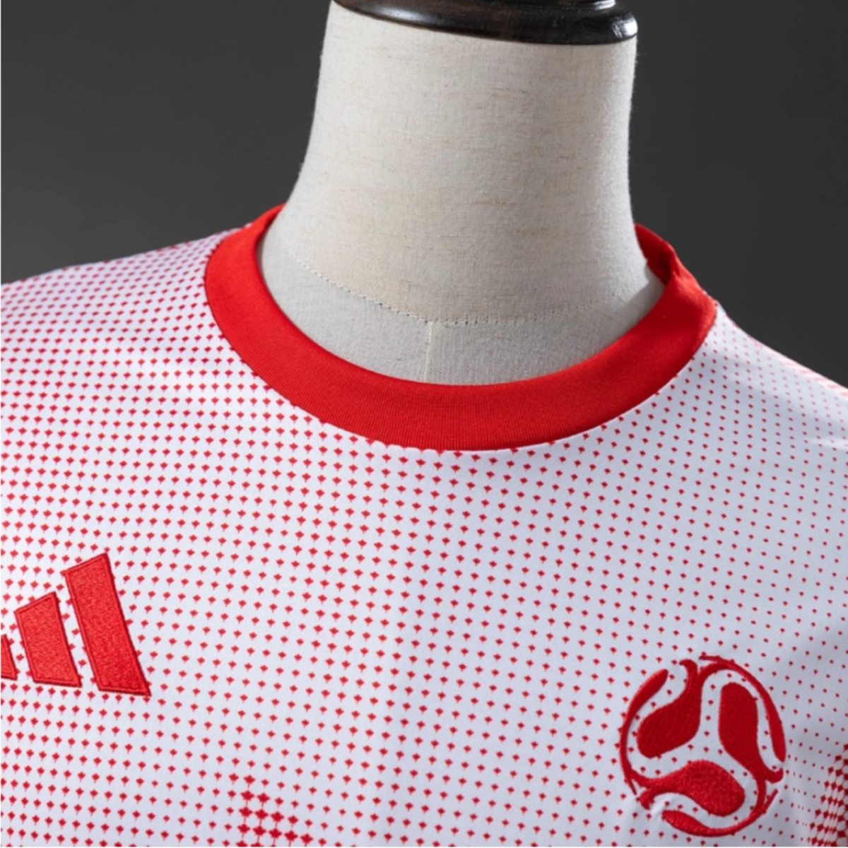 Canada 2026 World Cup Anniversary Edition jersey Fan version