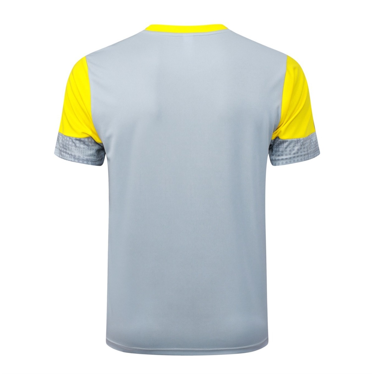 2026 Dortmund Light gray Training Set Shirt and Shorts