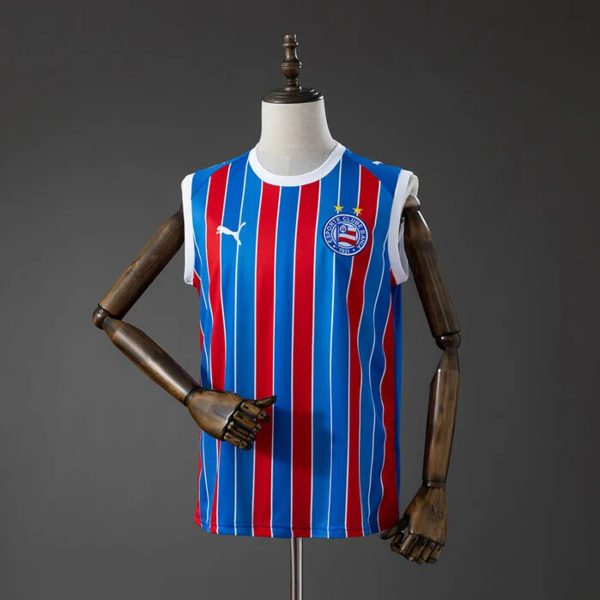 2026/27 Bahia Away Vest Fan Version