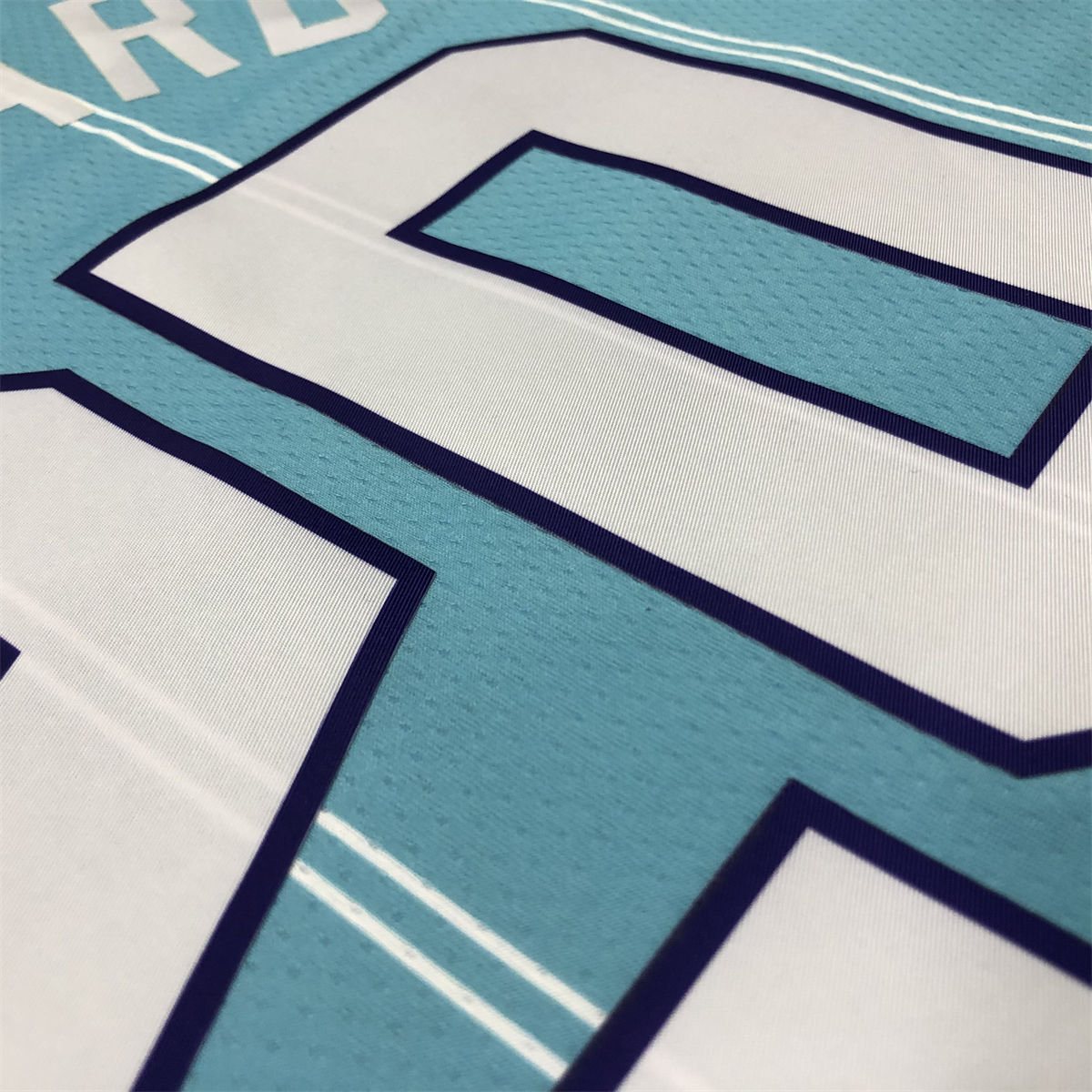 NBA Charlotte Hornets V-Neck Light Blue Jersey HAYWARD#20 S-XXL