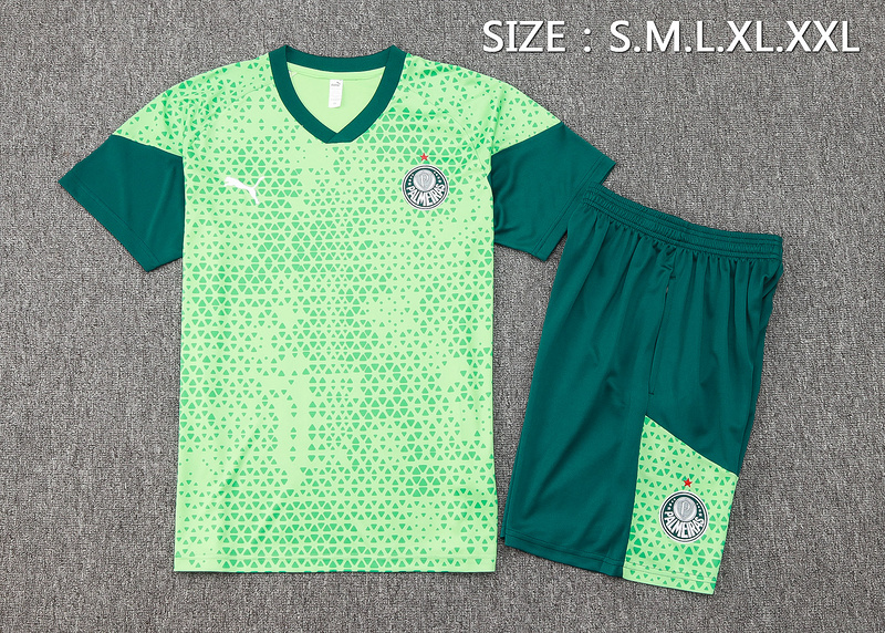24/25 Palmeiras Green Training Set Shirt and Shorts