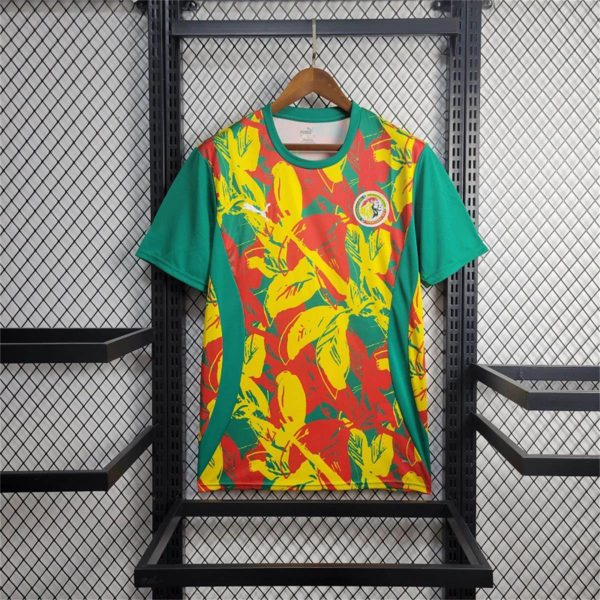 2024/25 Senegal Pre-match training shirt Jersey Fan Version