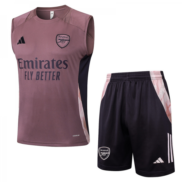 24/25 Arsenal Grey Purple Training Set Shirt and Shorts