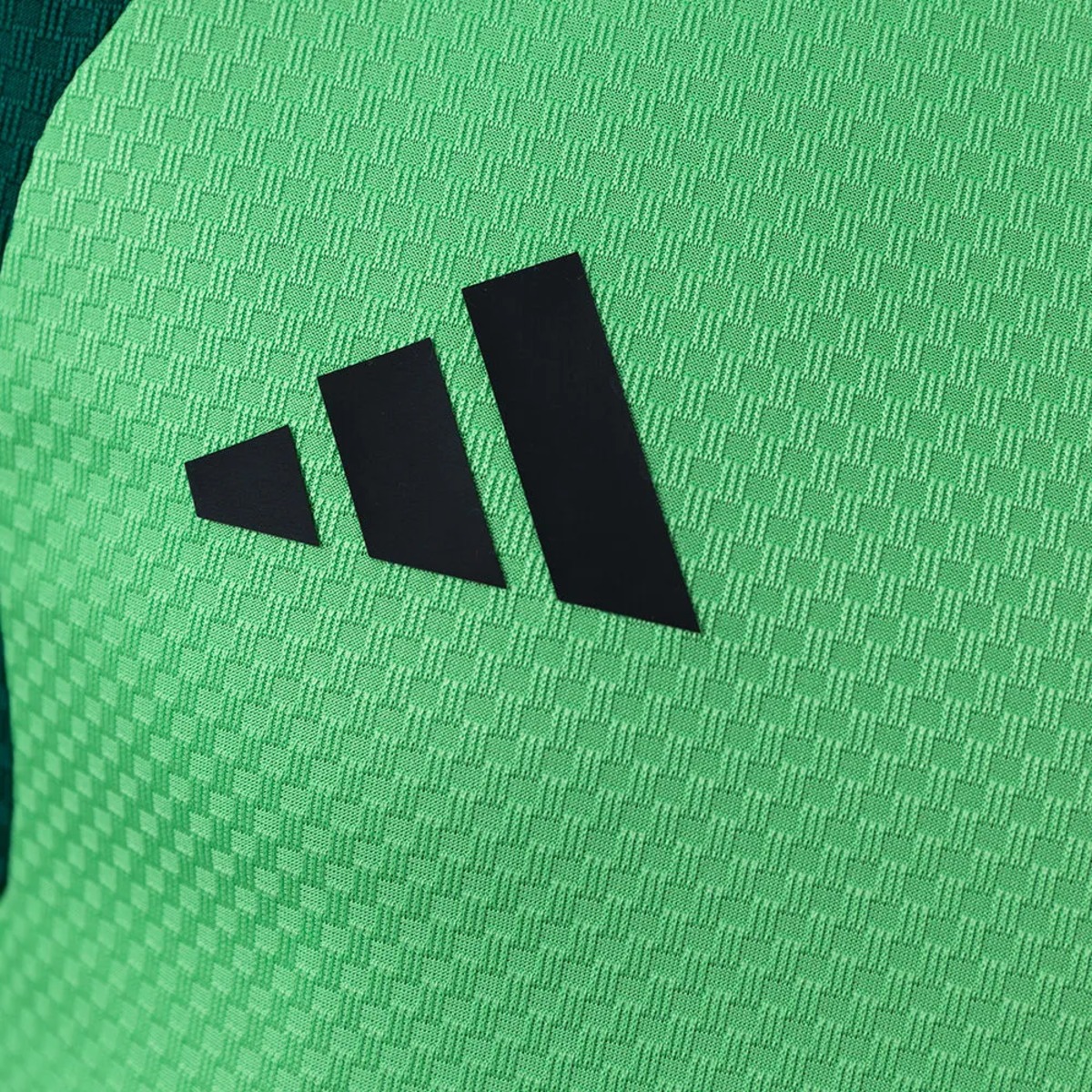 2026 Mexico Training Green Jersey Player Version