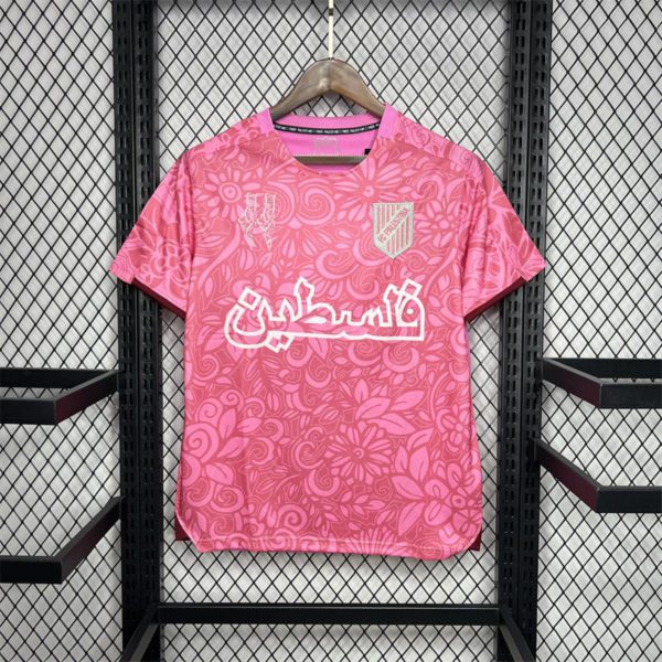 2023/24 CD Palestino Pink training pre-match training Jersey Fan Version