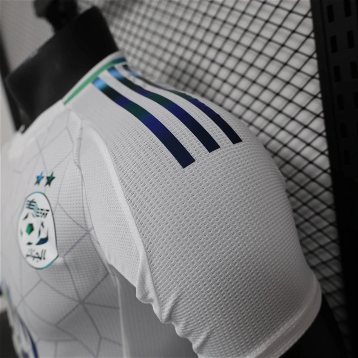 24/25 Algeria national Special Edition jersey Player Version