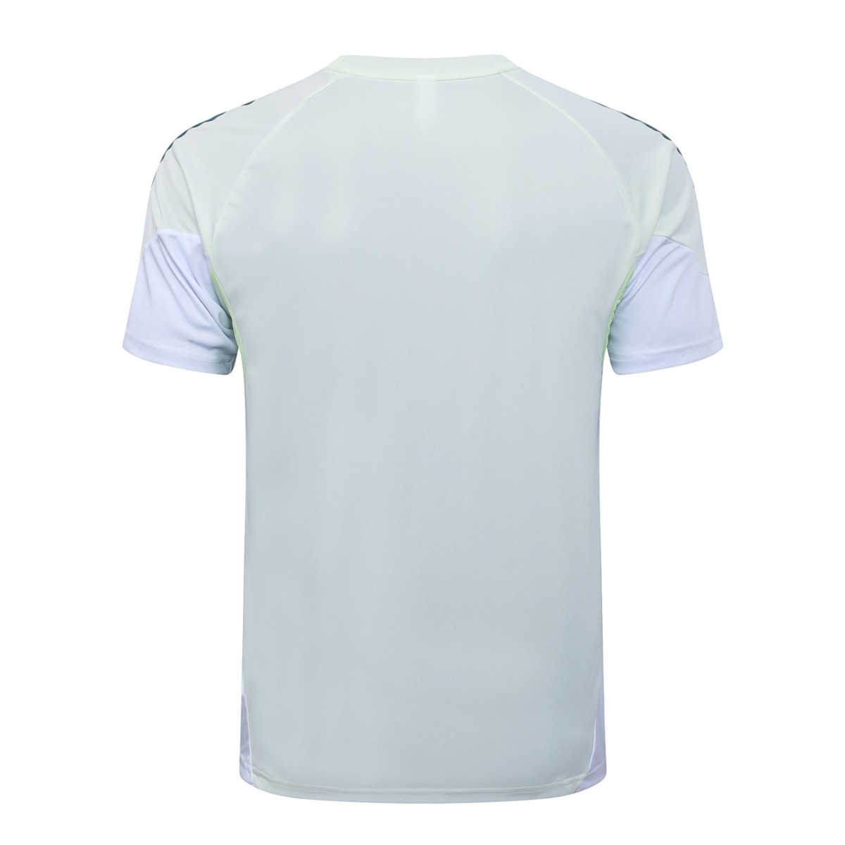 2026 Al-Ahly Light Green Training Set Shirt and Shorts