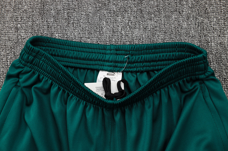 24/25 Palmeiras Green Training Set Shirt and Shorts