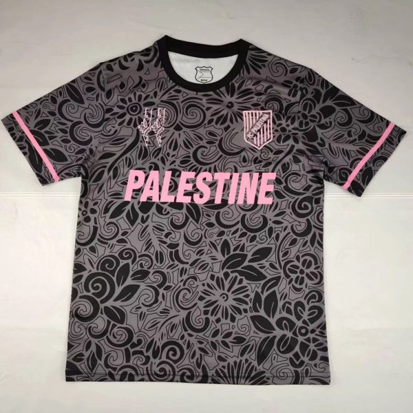 2025/26 CD Palestino Special Edition Grey Jersey Fan Version