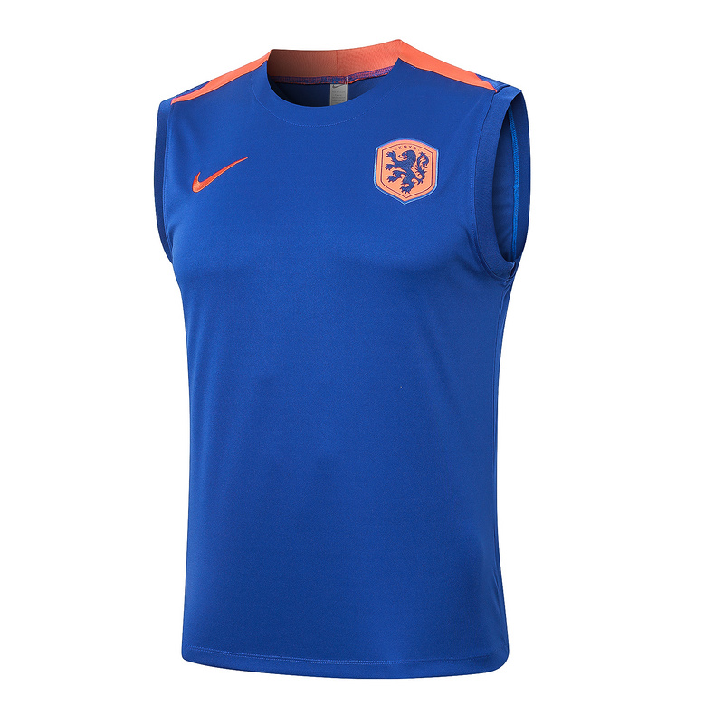24/25 Netherlands Colorful Blue raining Set Shirt and Shorts