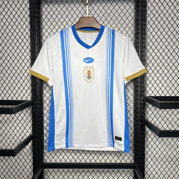 2024/25 Uruguay Pre-match training Jersey Fan Version