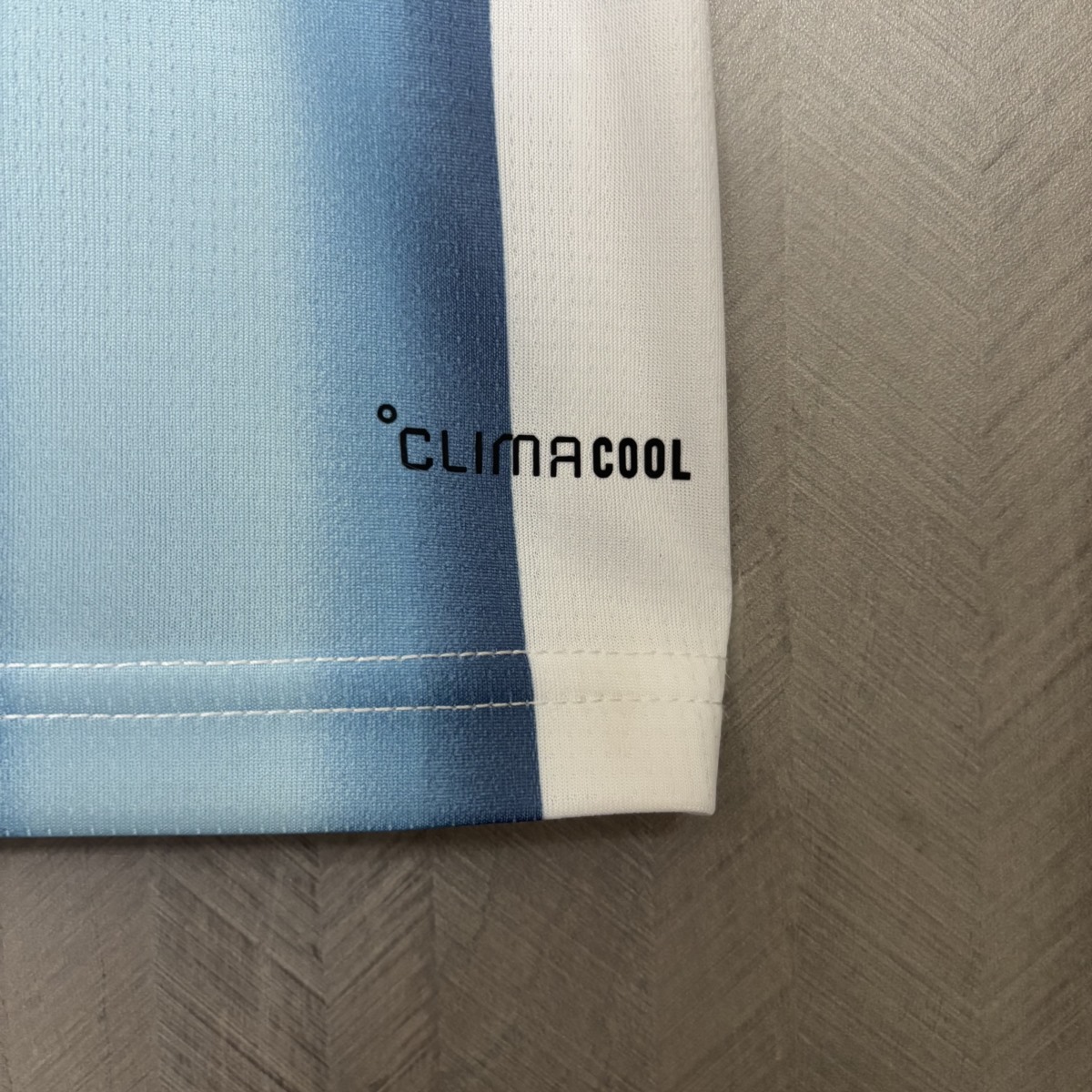 Argentina 2026 World Cup Home Jersey – Fan Version