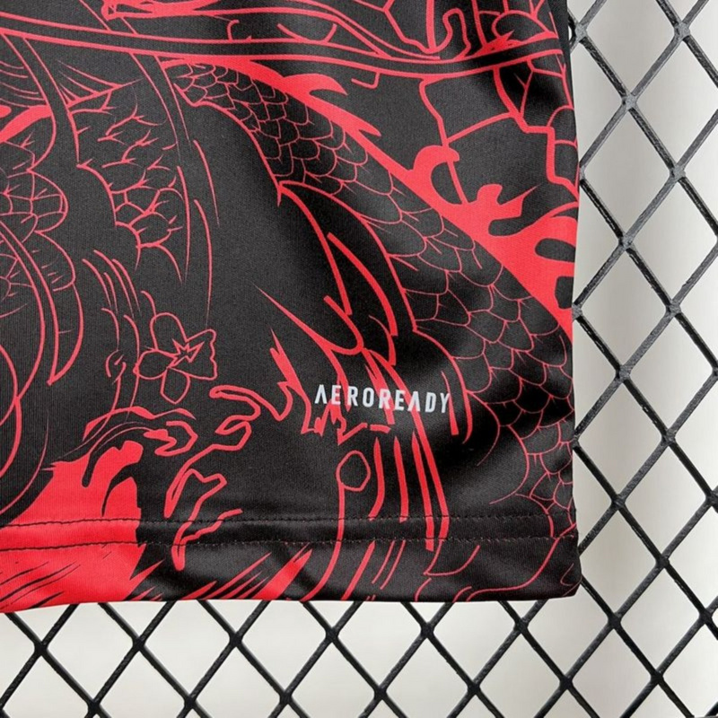 2024/25 Fortuna Düsseldorf Special Edition Red Jersey Fan Version