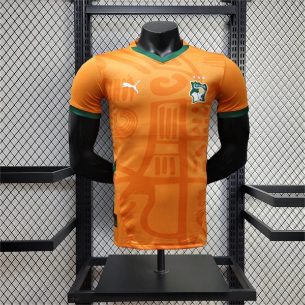24/25 Ivory Coast home Special edition Jersey Player Version