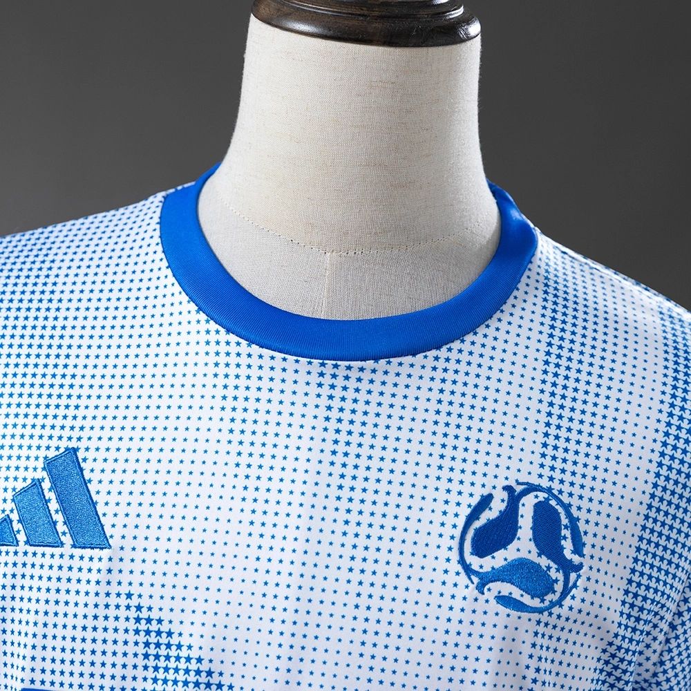 USA 2026 World Cup Anniversary Edition jersey Fan version