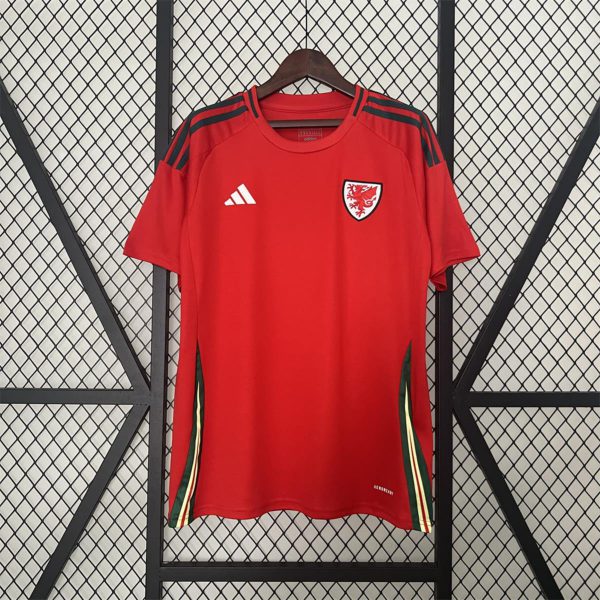 2024 Wales Home Jersey Fan Version