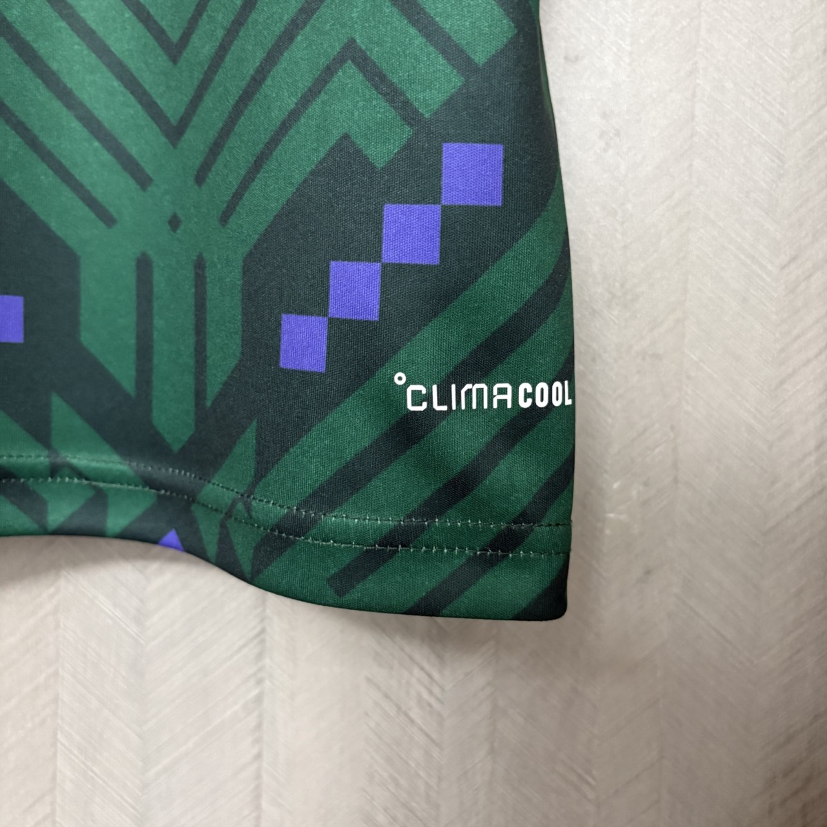 Saudi Arabia 2026 World Cup Home jersey Fan version