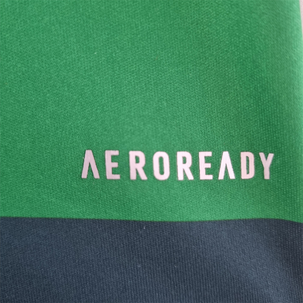 Retro 2010/11 Palmeiras Home jersey Fan Version