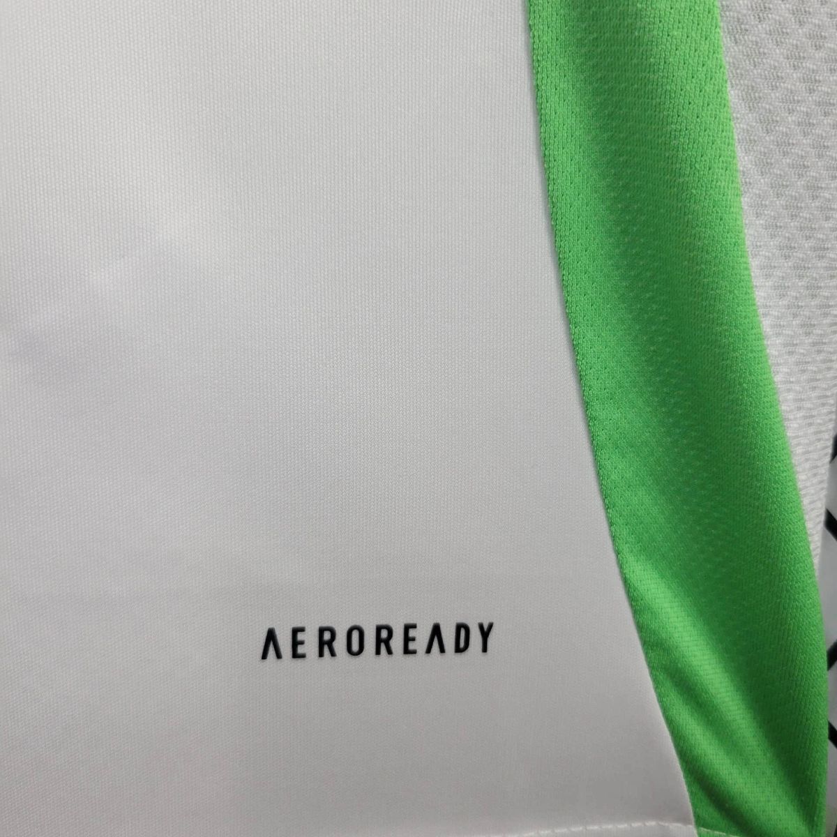 2024/25 Algeria Home jersey Fan version