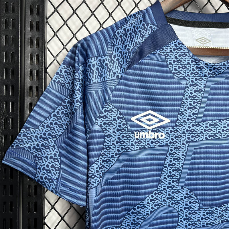 2024/25 Santos Pre-match training jersey Fan Version