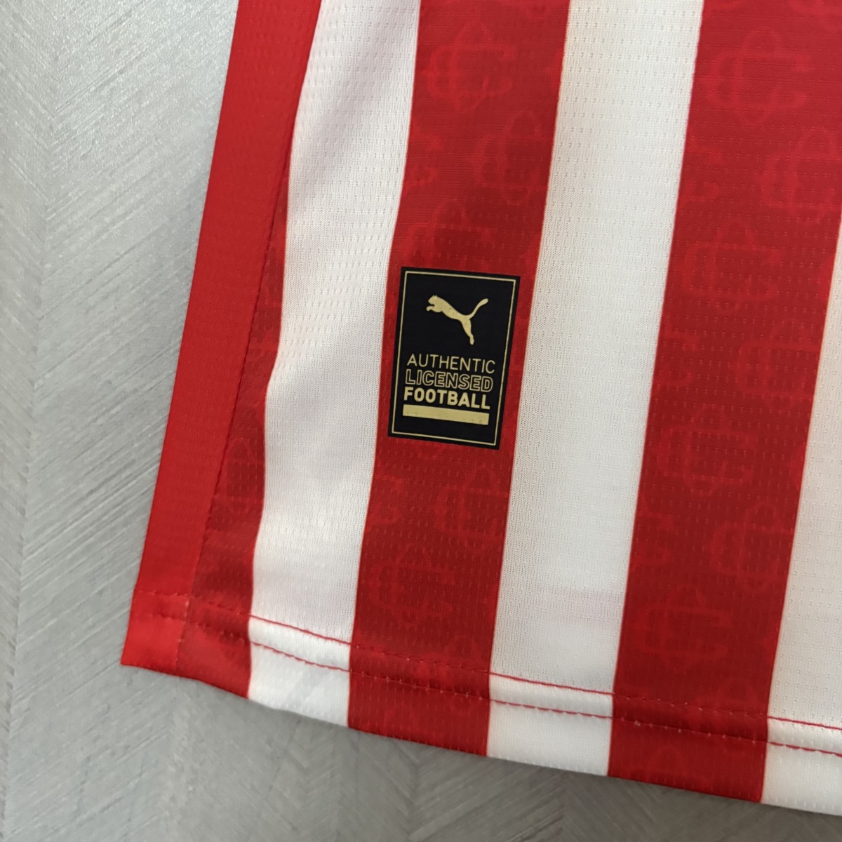 2026/27 Chivas Jersey Fan Version
