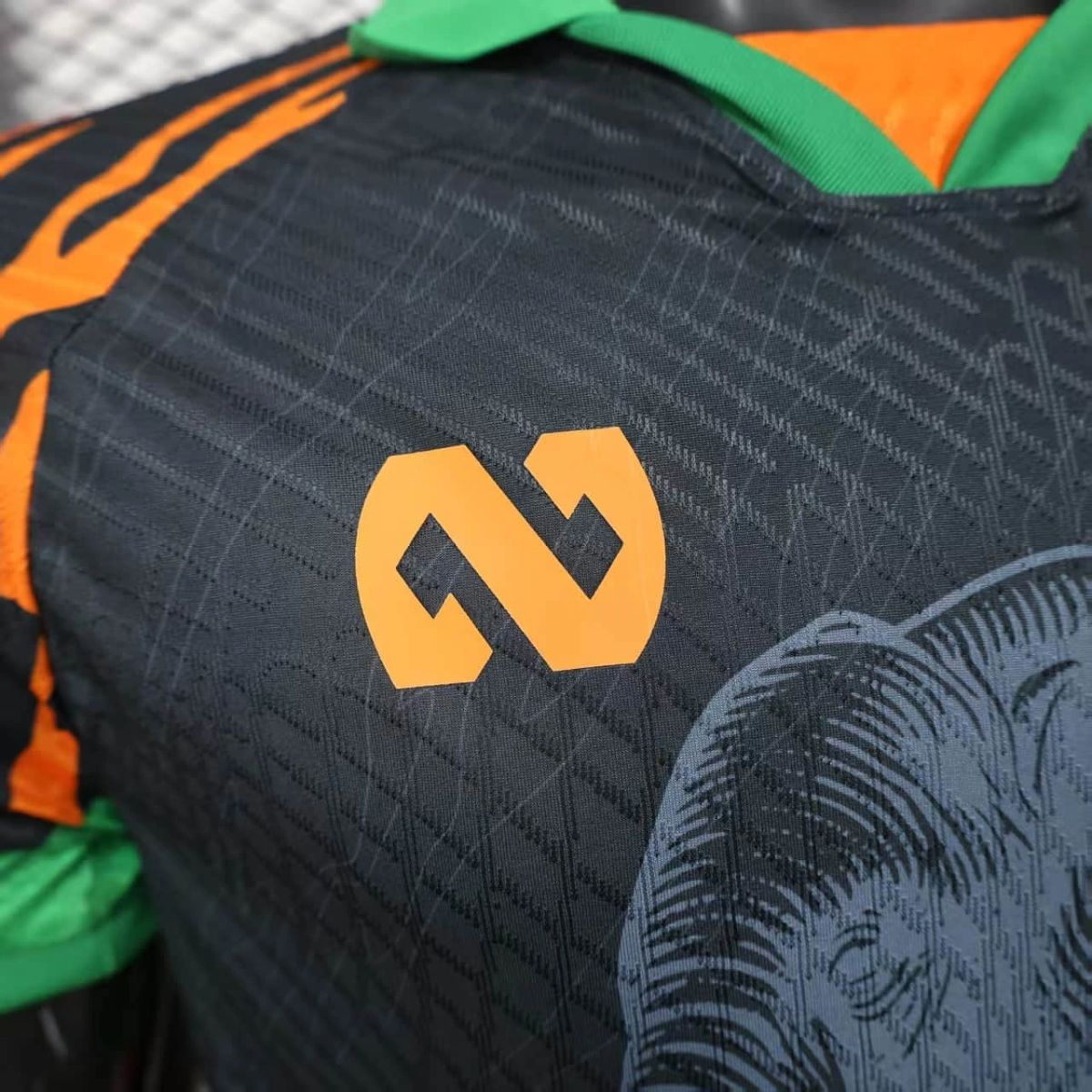 2025/26 Ivory Coast Special edition Black Jersey Player Version