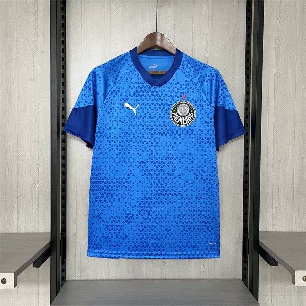2024/25 Palmeiras Blue Goalkeeper jersey Fan Version
