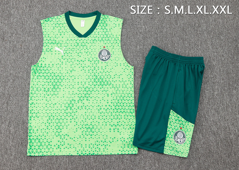 24/25 Palmeiras Green raining Set Shirt and Shorts