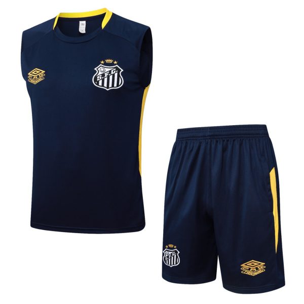 2026 Santos Cyan Training Set Shirt and Shorts