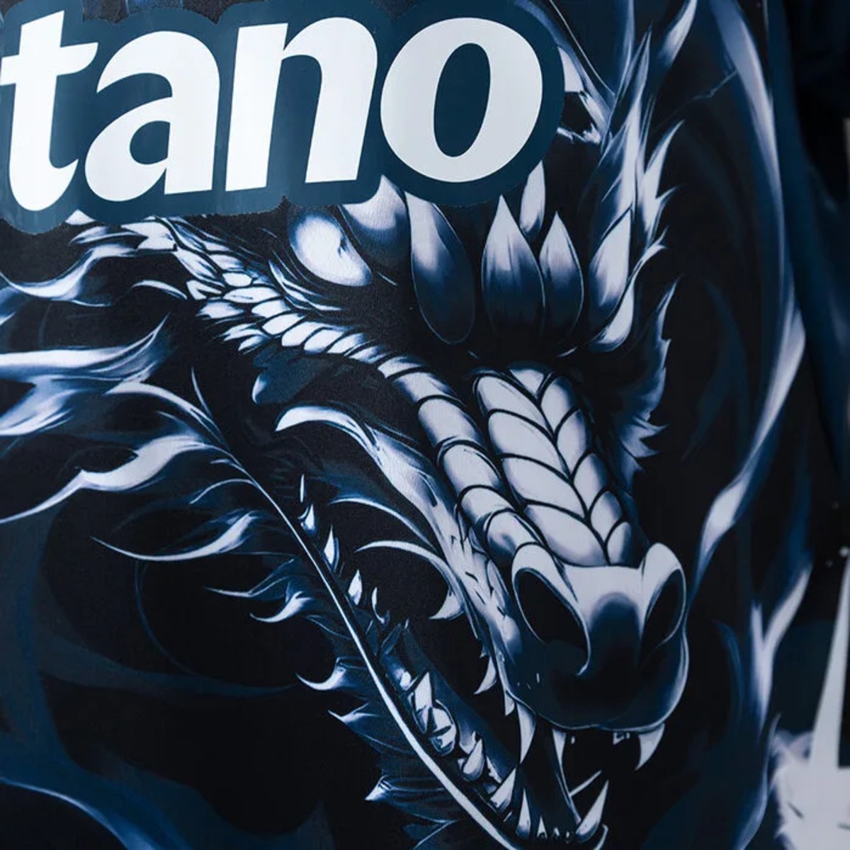 2026 FC Porto Special Edition Dragon Jersey Fan Version