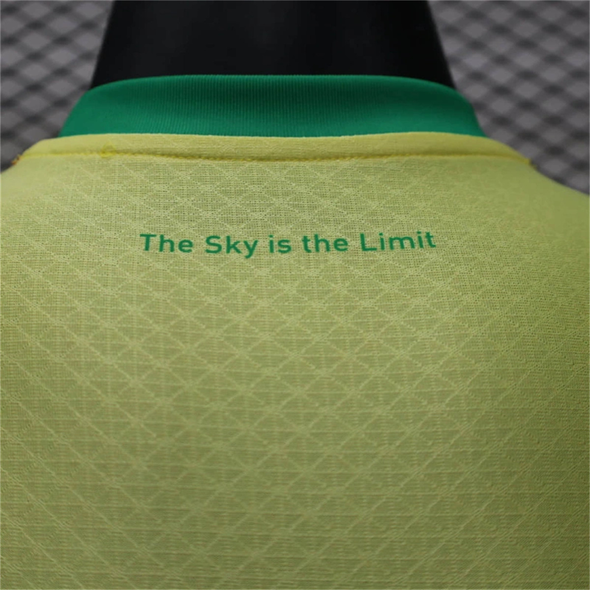 24/25 Mamelodi Sundowns F.C. Home Special edition Jersey Player Version